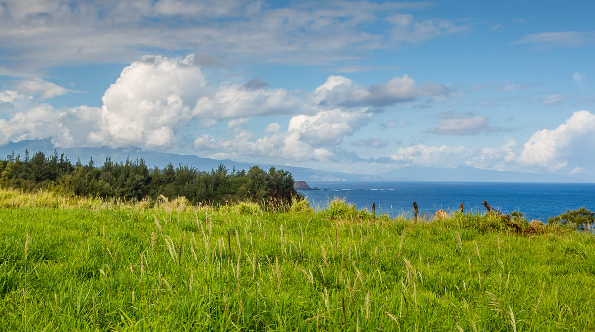 maui-home-and-life-oceanfront-jaws-acreage-08