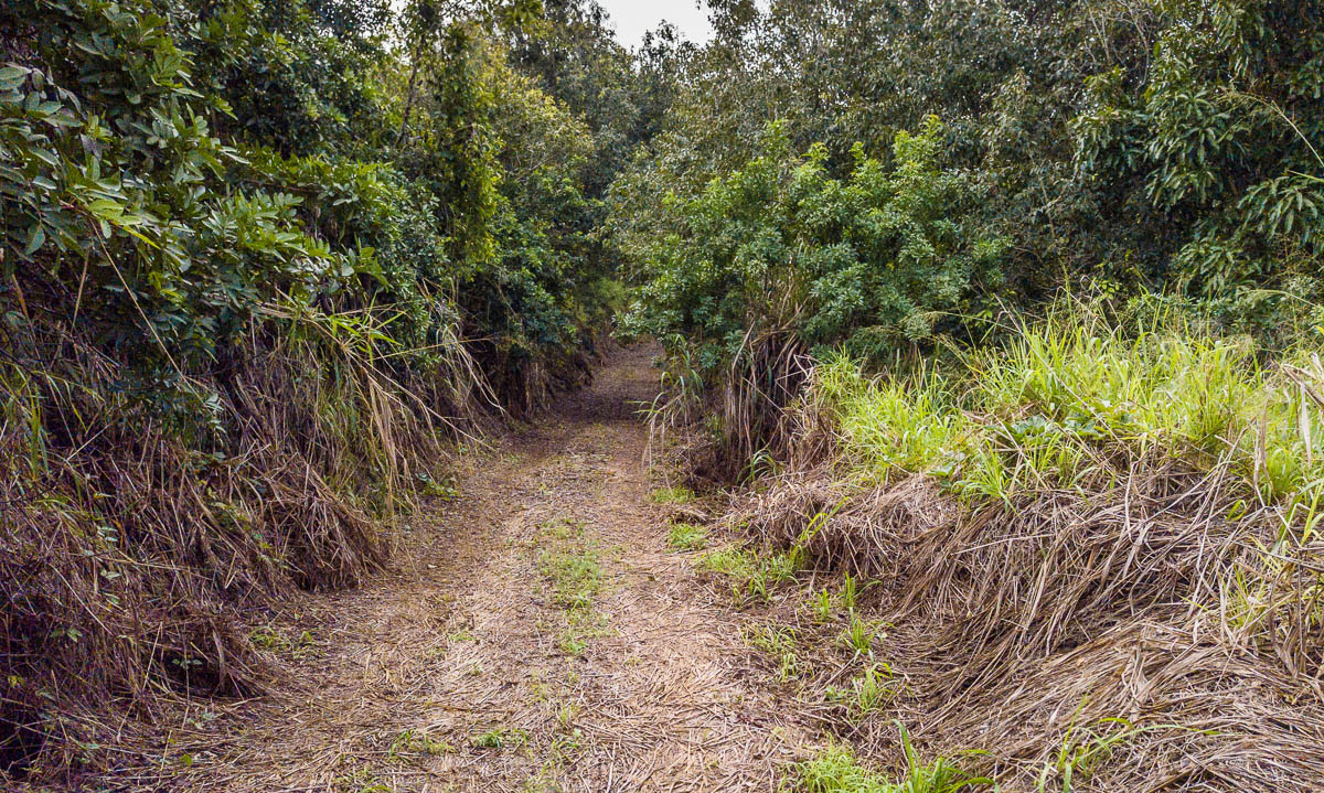 maui-home-and-life-oceanfront-jaws-acreage-27