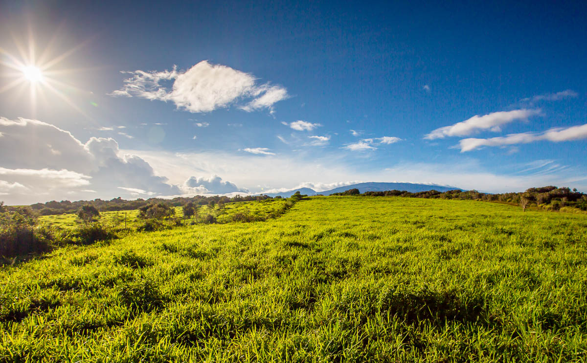 maui-home-and-life-oceanfront-jaws-acreage-38